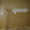How Homeowners Can Avoid And Fight Against Mold Damage