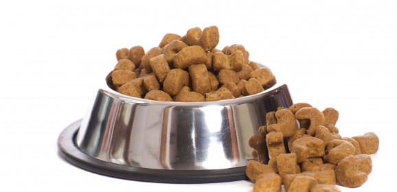 How to Pick the Right Pet food in Folsom CA