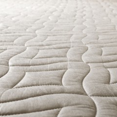 Do You Need Bed Bug Mattress Covers?