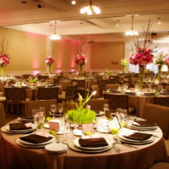 Essential Questions to Ask When Viewing Wedding Venues in Watsonville