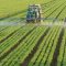 Advancements in Fertilizer Technology Allow for Better Production and Better Soil